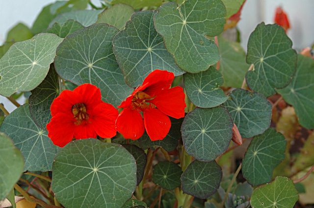 [DSC_7963_640x425.jpg]