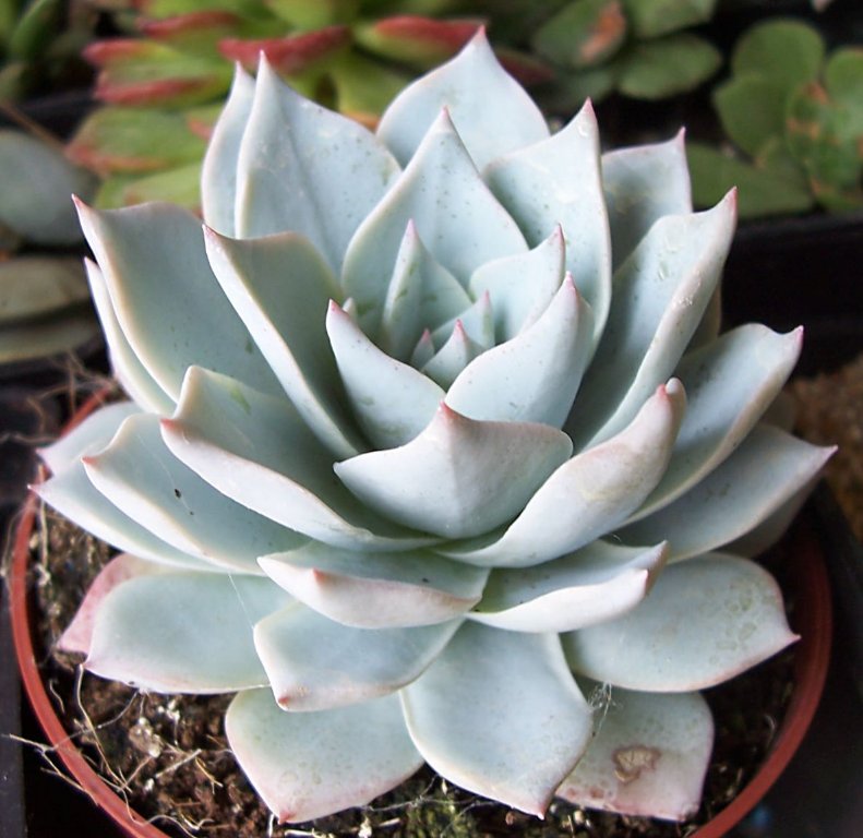 [100_2691_791x768.jpg]