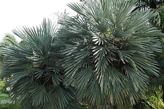 [DSC_7676_640x425.jpg]