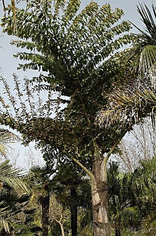 [DSC_7724_318x480.jpg]