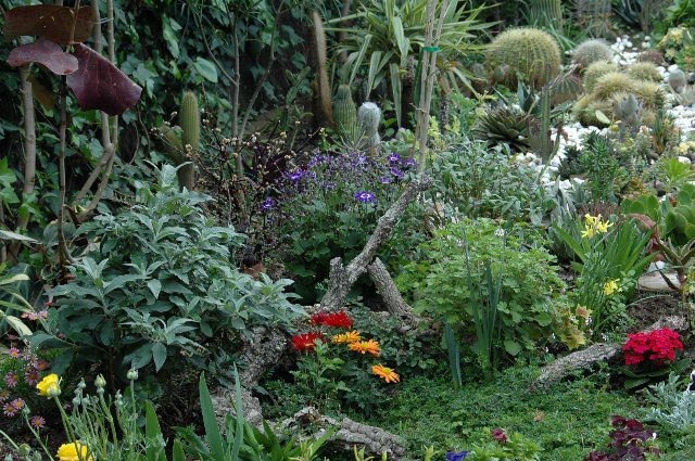 [DSC_9060_640x425.jpg]