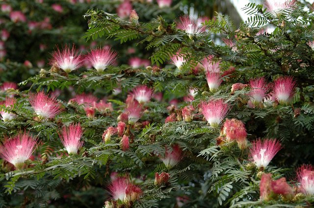 [RP+2010+(741)_640x425.jpg]