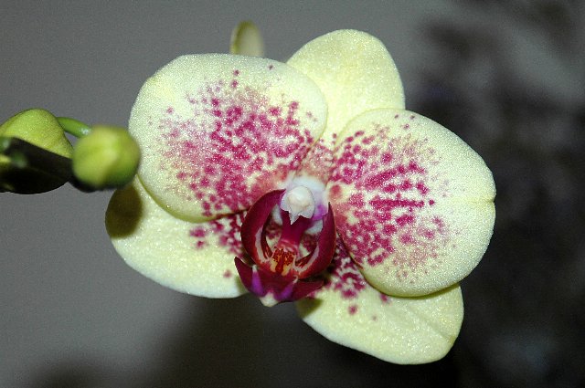 [DSC_8962_640x425.jpg]