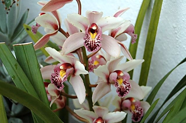 [DSC_8963_640x425.jpg]