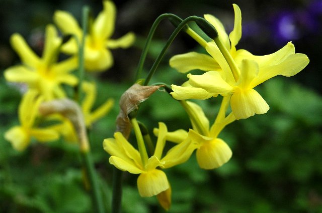 [DSC_9126_640x425.jpg]