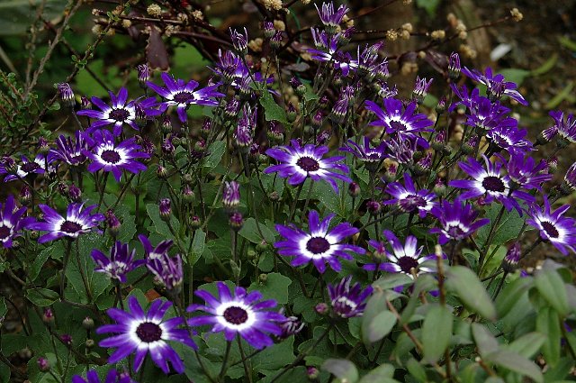 [DSC_9093_640x425.jpg]