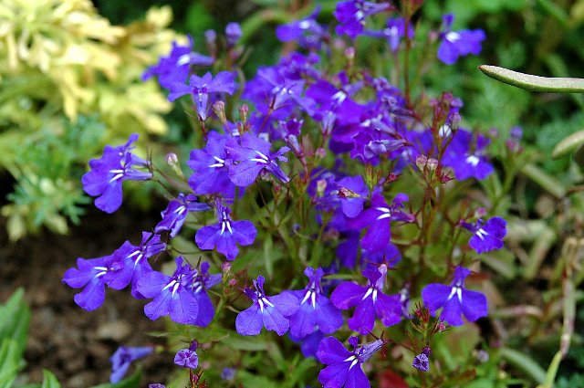 [DSC_9091_640x425.jpg]