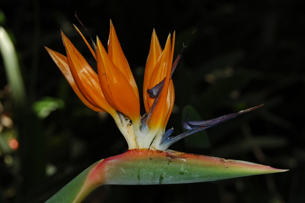 [DSC_6810_1024x680.jpg]