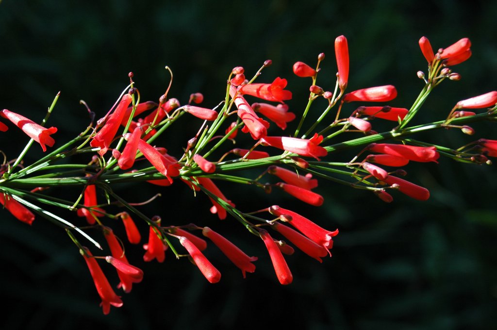 [DSC_6791_1024x680.jpg]