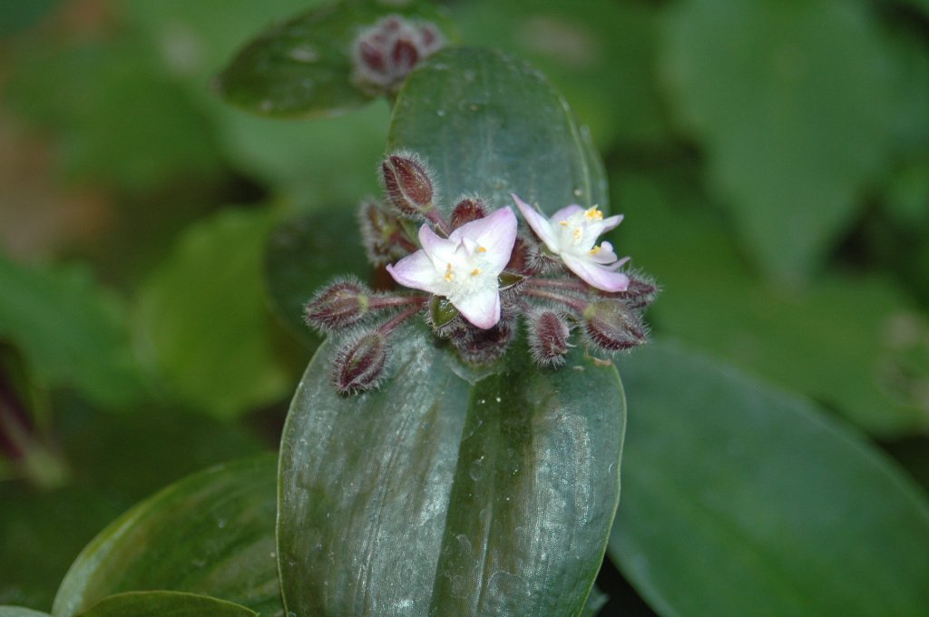 [DSC_6334_1024x680.jpg]