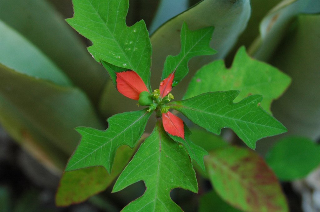 [DSC_8833_1024x680.jpg]