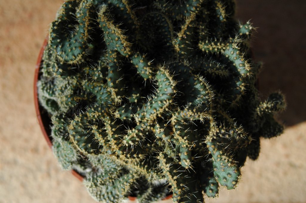 [DSC_6853_1024x680.jpg]