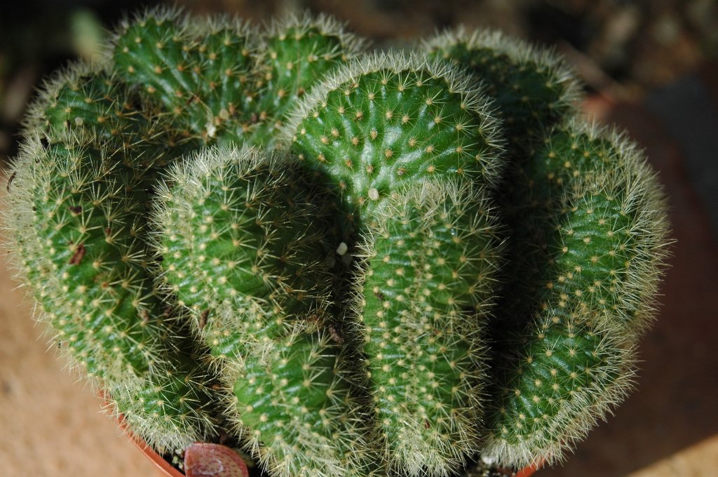 [DSC_6850_1024x680.jpg]