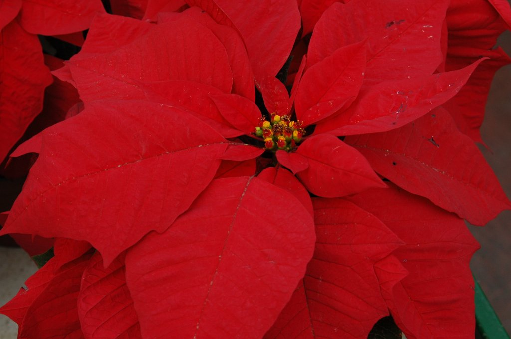 [DSC_6862_1024x680.jpg]