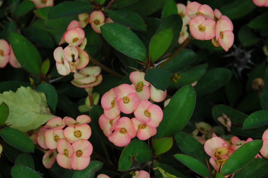 [DSC_6884_1024x680.jpg]