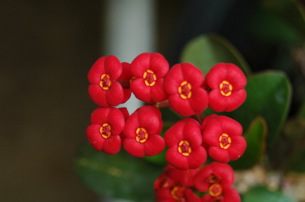 [DSC_6877_1024x680.jpg]