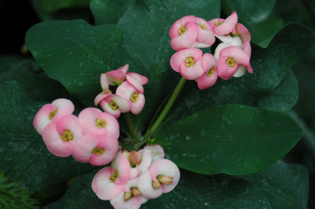 [DSC_6887_1024x680.jpg]