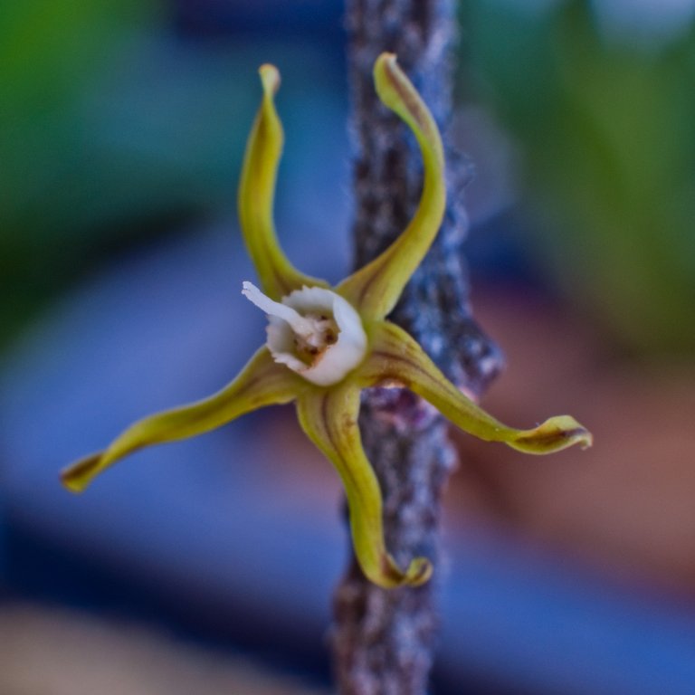 [DSC_1393_768x768.jpg]