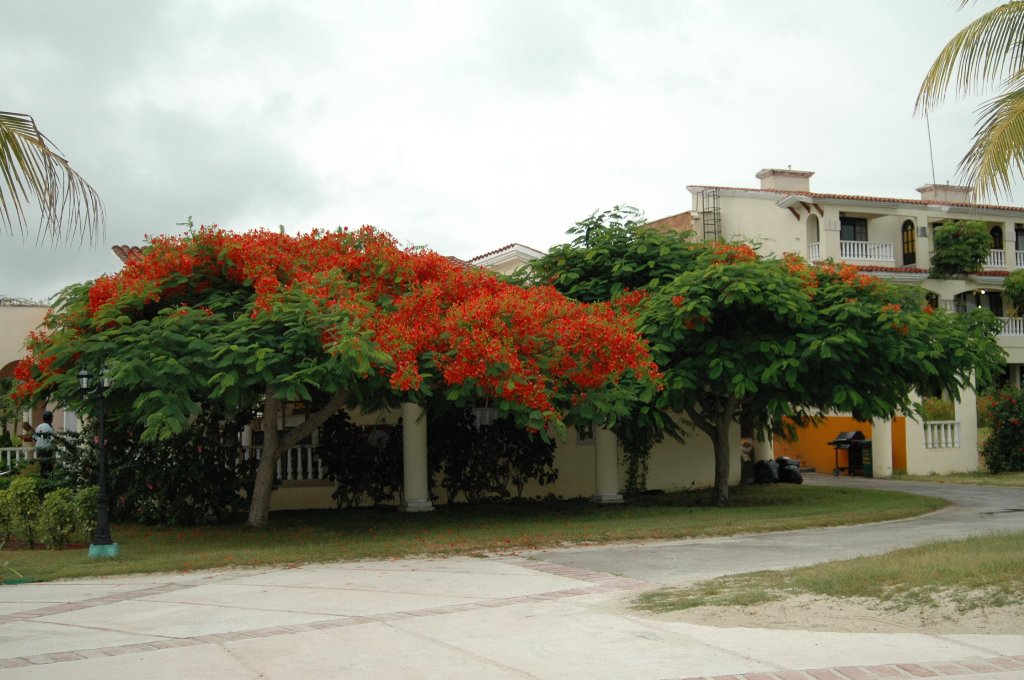 [Cuba+(66)_1024x680.jpg]