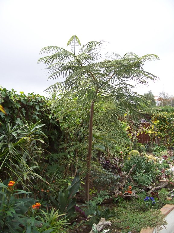 [100_2570_576x768.jpg]