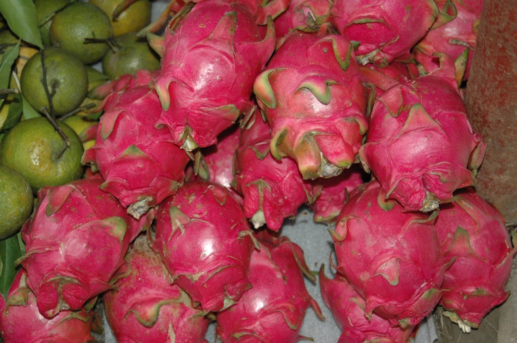 [DSC_6701_1024x680.jpg]