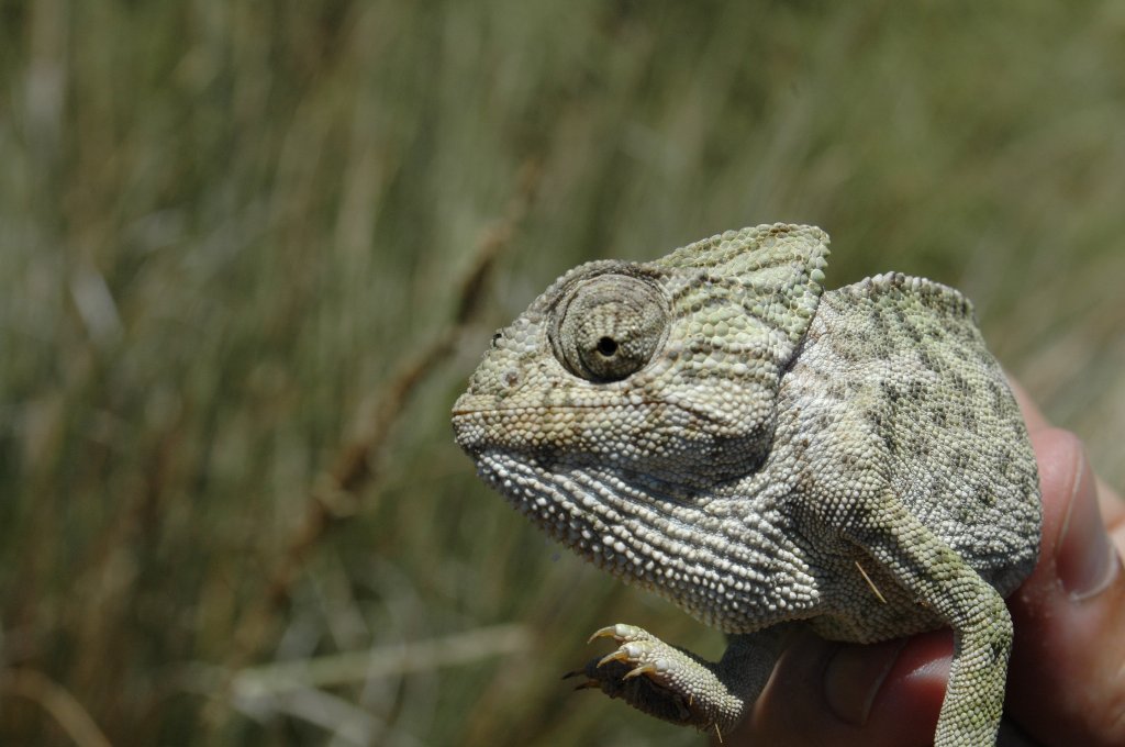 [DSC_0007_1024x680.jpg]