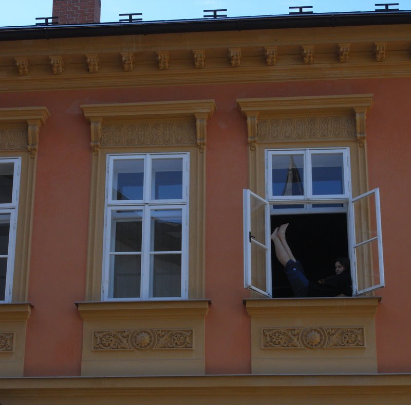 [R0010483.JPG]
