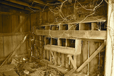 in the pantry: Chicken Houses I Have Known
