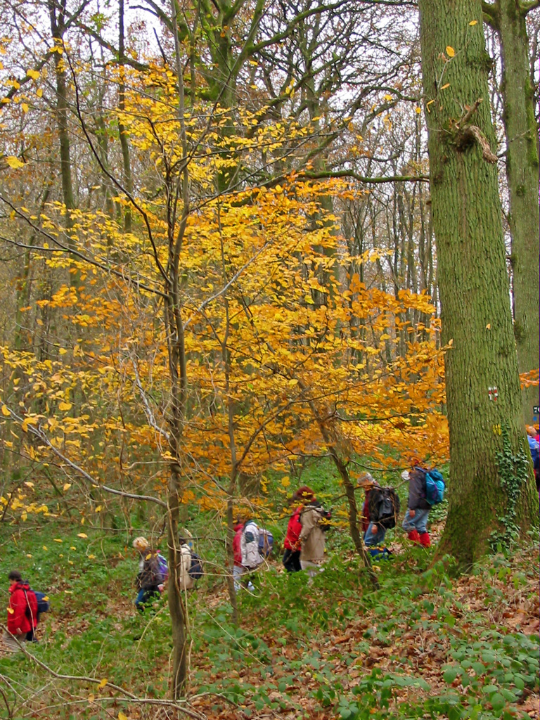 Ile de France Walks Wednesday 10 November, a new twist on the vallée