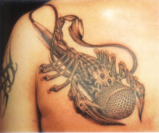 Scorpion Tattoos Photo