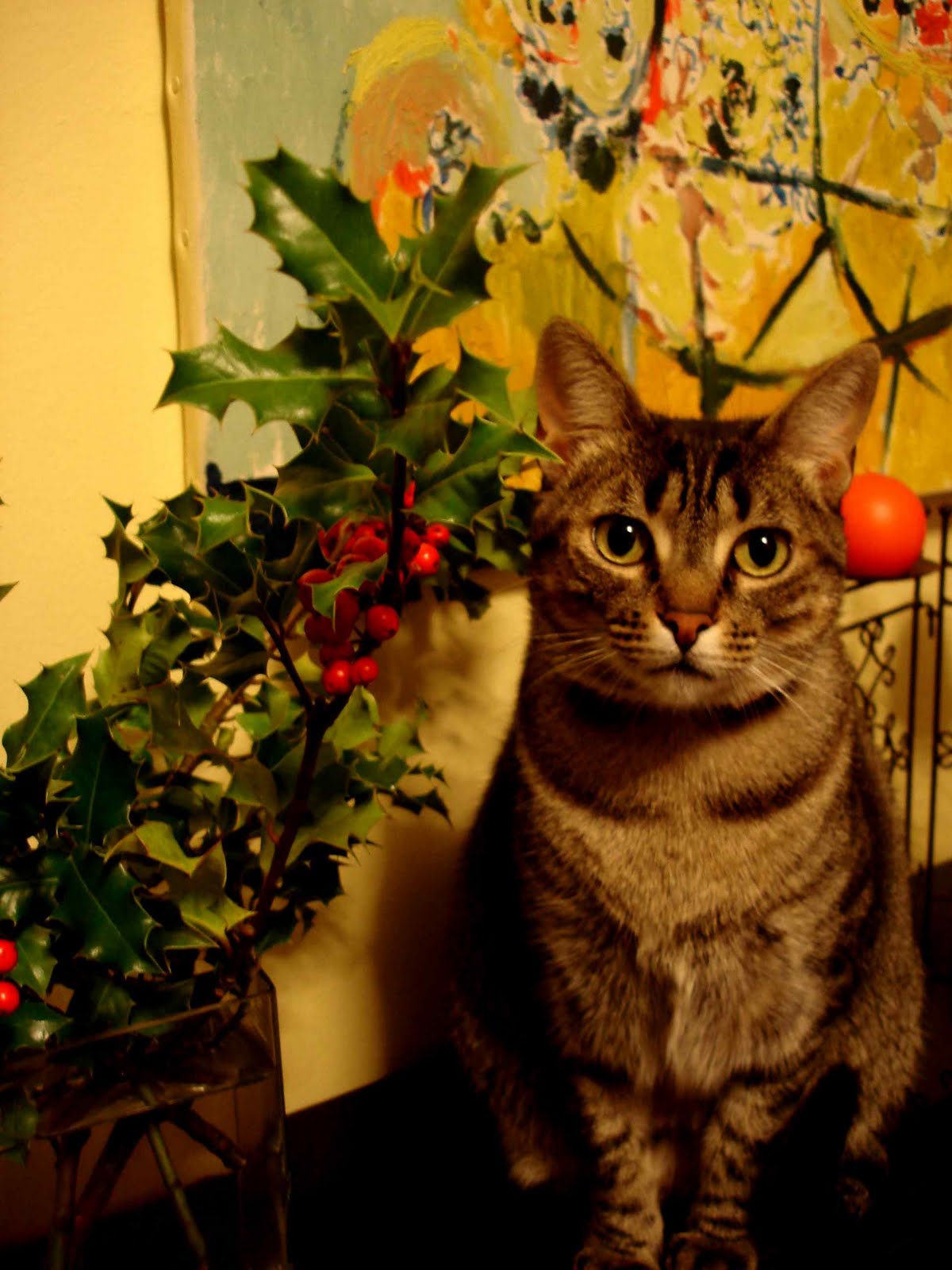 [Pipoca+e+azevinho.JPG]