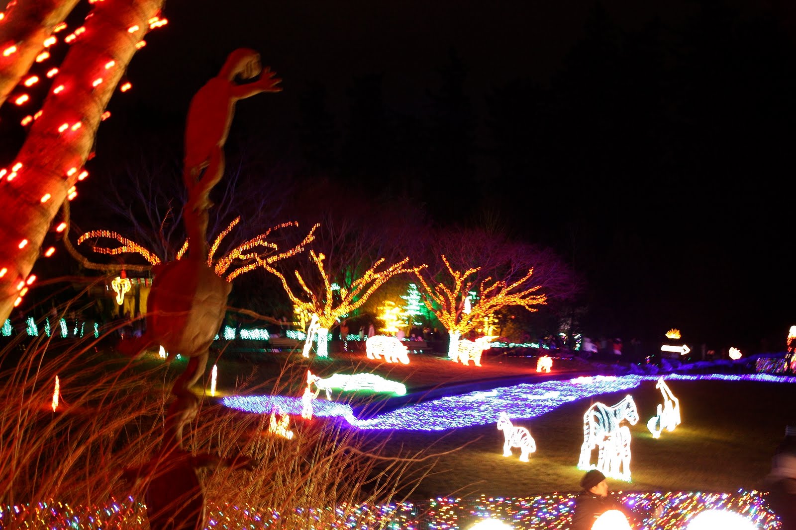 ... the light rail (Max) train to the Portland Zoo to see the Zoo lights