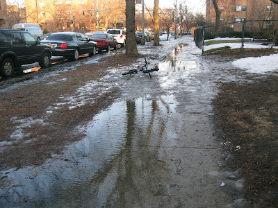 Rogers Park