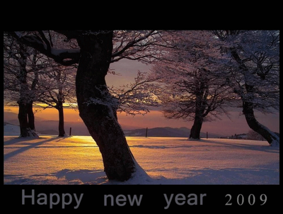 [2009-happy-new-year[1].png]