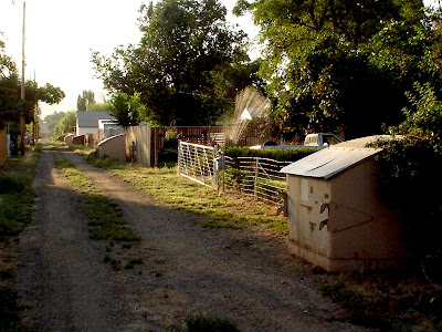 alley, garbage dumpster, Thermopolis, Wyoming