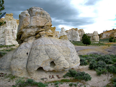 Castle Gardens Petroglyphs, Wyoming