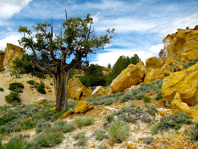 Castle Gardens Petroglyphs, Wyoming