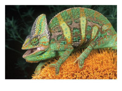 Amo jugar al Bowling: junio 2010