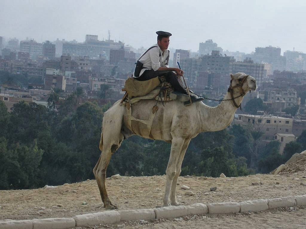 [camello+y+nubio.jpg]