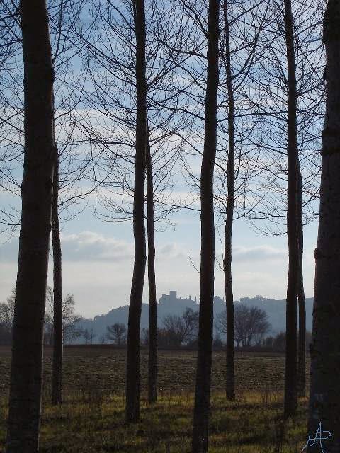 [niño+pervertido.jpg]