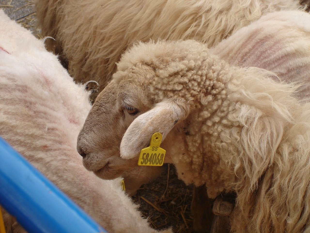 [que+tio+mas+tonto.jpg]