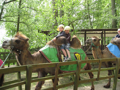 ***GANTE EN FAMILIA***... - ***BRUSELAS EN FAMILIA*** ✈️ Foro Viajar con Niños