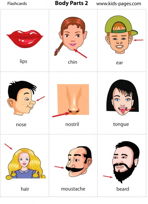 ENGLISH LESSONS - Children: LESSON 3 - Body Parts