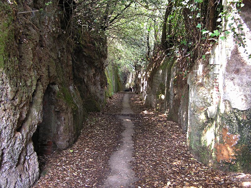 Le Vie Cave Degli Etruschi