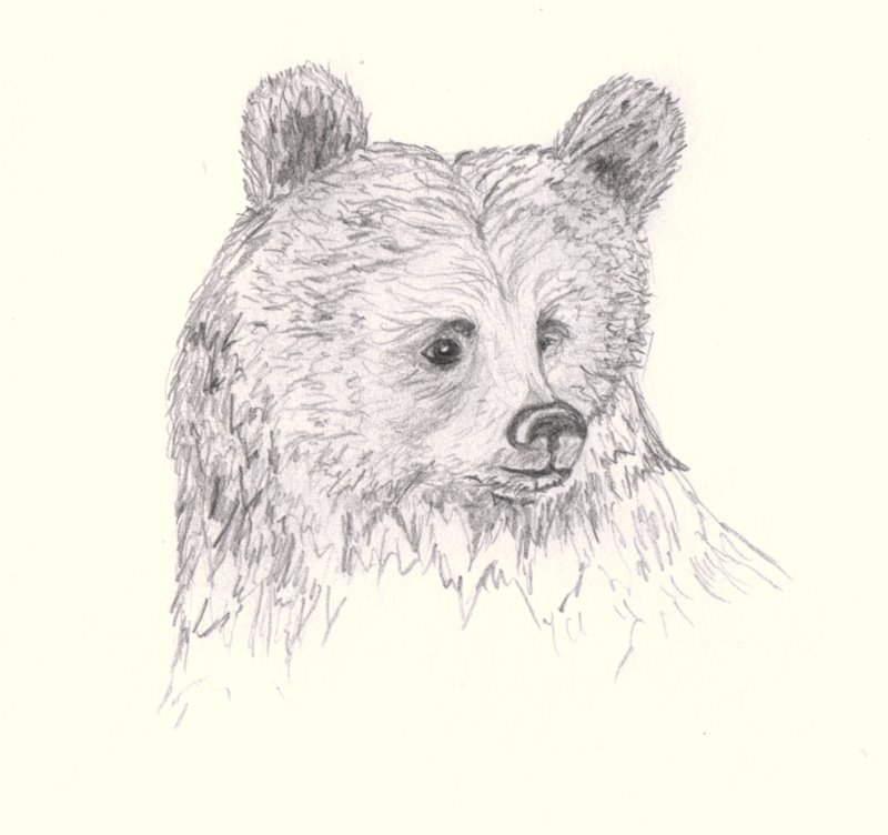 [bear.jpg]