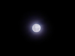 luna clara