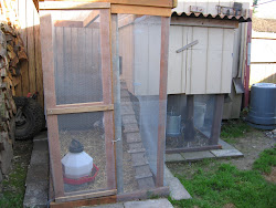 chicken coop paving run farm