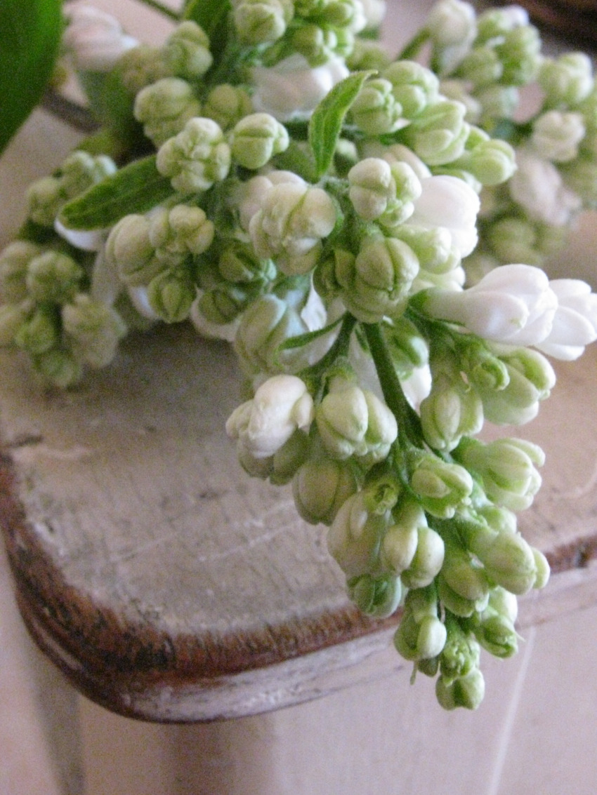 Freudentanz: Omas Küchenstuhl