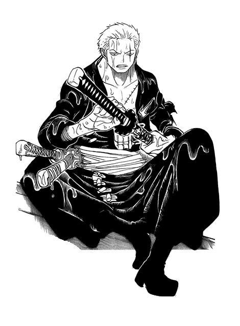 Roronoa Zoro after two years | Anime Fairy Blog
