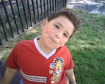 Mi Mauro